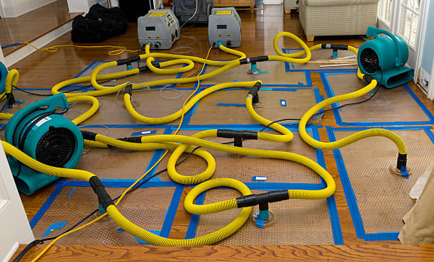 Professional Water Damage Repair technician working in Lake Forest, CA